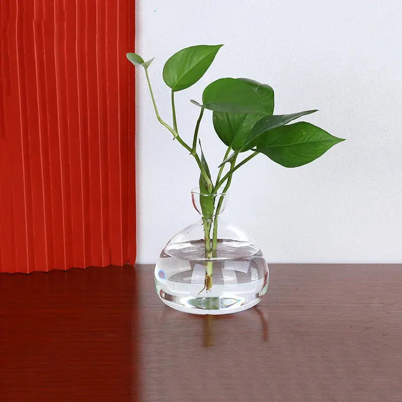 Avocado Seed Starter Vase Transparent Glass Vase Vase for Growing Plant Glass Seed Growing Kit for Gardening Lovers