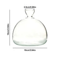 Avocado Seed Starter Vase Transparent Glass Vase Vase for Growing Plant Glass Seed Growing Kit for Gardening Lovers