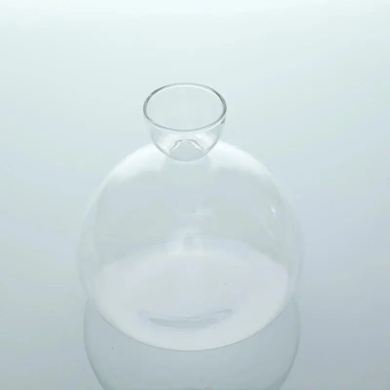 Avocado Seed Starter Vase Transparent Glass Vase Vase for Growing Plant Glass Seed Growing Kit for Gardening Lovers